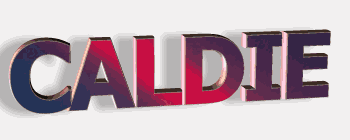 瑞典進(jìn)口CALDIE模具鋼
